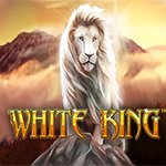 White King